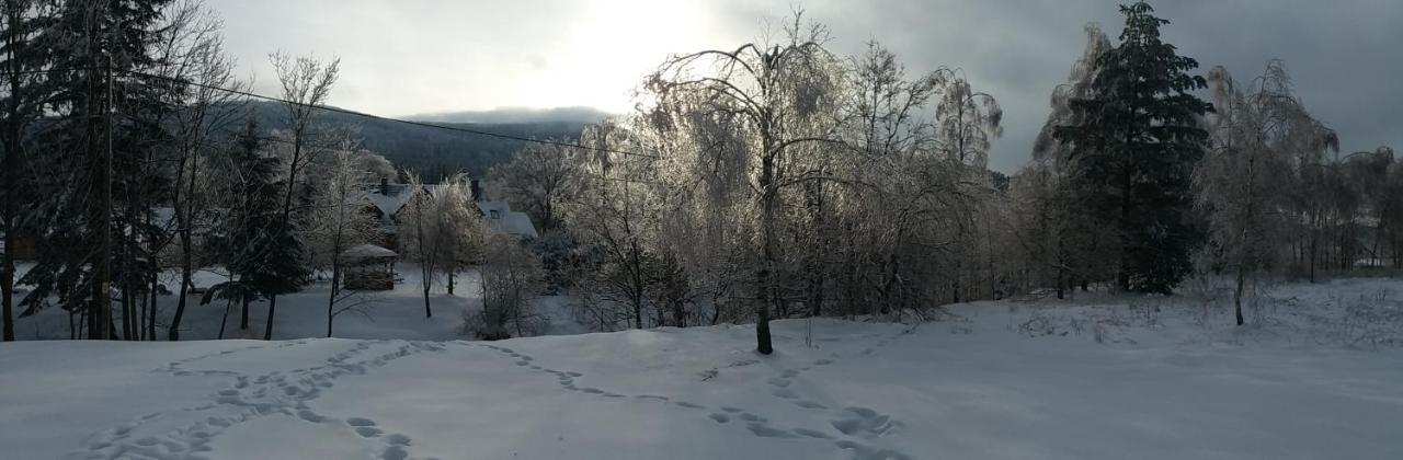Chwila Moment - Dom W Okolicy Czarnej Gory, Nad Rzeka Villa Stronie Śląskie Kültér fotó